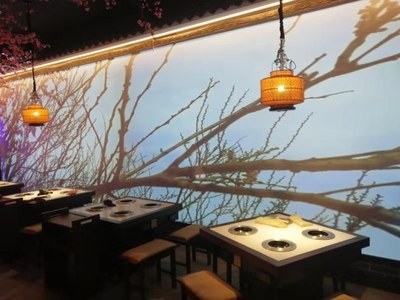 莱西花好月圆全息火锅店