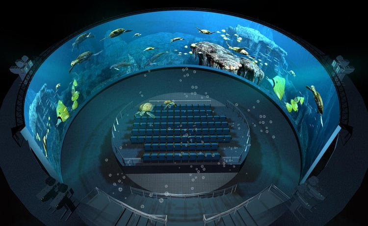 <a href=http://www.szzs360.com/projector/ target=_blank>ͶӰ</a>